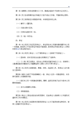 公司人力资源管理与服务计划制度章程